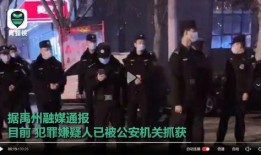 河南某酒吧爆料事件视频,真相与争议交织的夜生活漩涡
