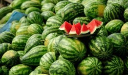 新瓜最新爆料网红蔡二哥,揭秘网红背后的惊人真相